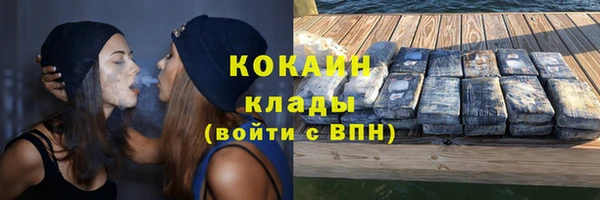 спиды Новозыбков