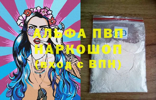 прущие грибы Новокубанск