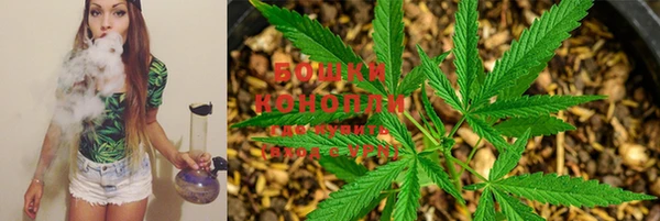 гидропоника Нефтегорск