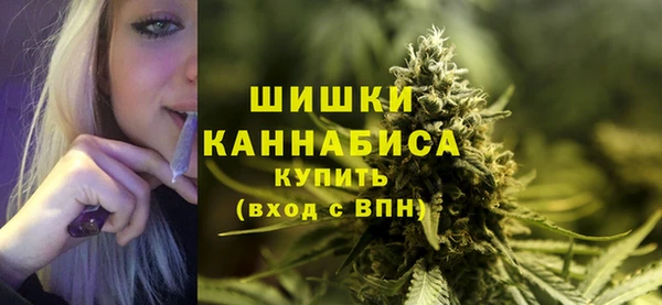 первитин Новодвинск