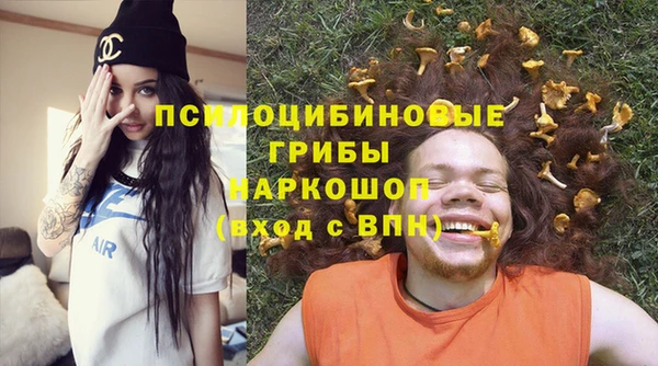 прущие грибы Новокубанск