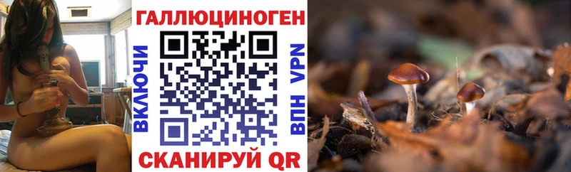 Галлюциногенные грибы мицелий  Прохладный 