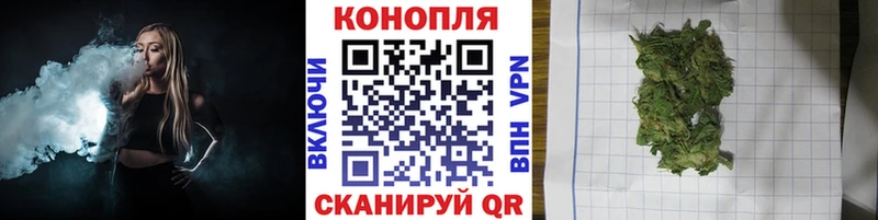 как найти закладки Прохладный Марихуана индика